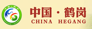 鹤岗政府