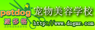 宠物美容学校