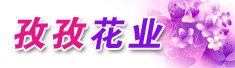 焦作市孜孜花业有限公司