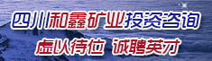 四川和鑫矿业投资咨询有限公司