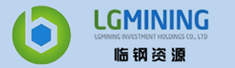 新疆临钢资源投资股份有限公司