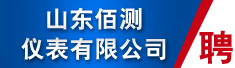 山东佰测仪表有限公司
