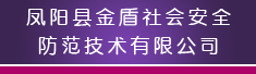 凤阳县金盾社会安全防范技术有限公司