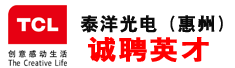 泰洋光电(惠州)有限公司