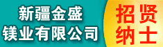 新疆金盛镁业有限公司