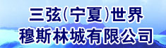 三弦(宁夏)世界穆斯林城有限公司