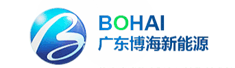 广东博海新能源投资有限公司