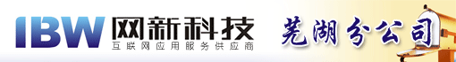 安徽网新科技有限公司芜湖分公司