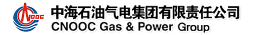 中海石油气电集团