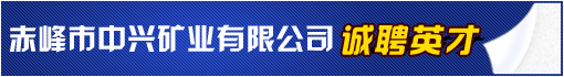 赤峰市中兴矿业有限公司