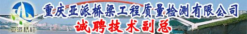 重庆亚派桥梁工程质量检测有限公司